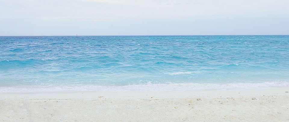 海